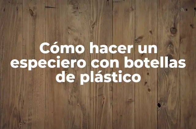 Cómo Hacer un Especiero con Botellas de Plástico
