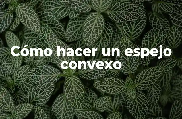 Cómo Hacer un Espejo Convexo 2 ¿Qué es un espejo convexo?