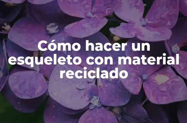 Cómo Hacer un Esqueleto con Material Reciclado