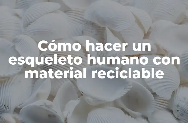 Cómo Hacer un Esqueleto Humano con Material Reciclable 2 Cómo hacer un esqueleto humano con material reciclable