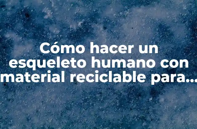 Cómo Hacer un Esqueleto Humano con Material Reciclable para Niños