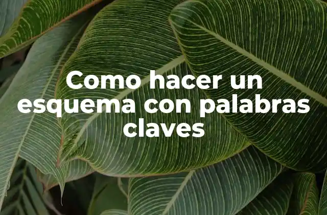 Como Hacer un Esquema con Palabras Claves