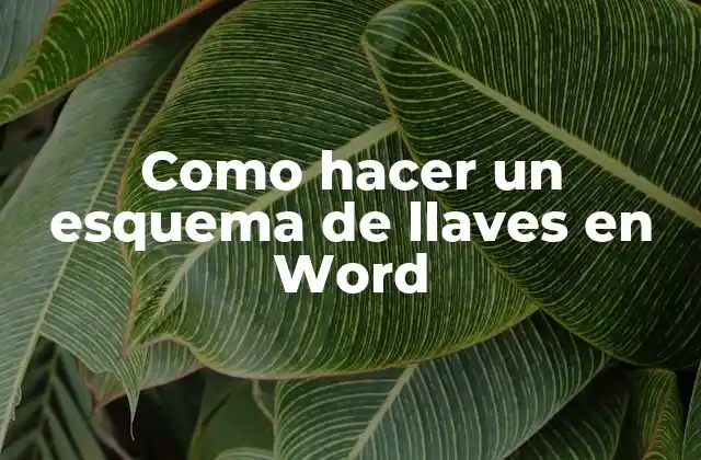 ¿Qué es un esquema de llaves en Word?