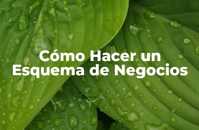 Cómo Hacer un Esquema de Negocios 2 ¿Qué es un Esquema de Negocios?