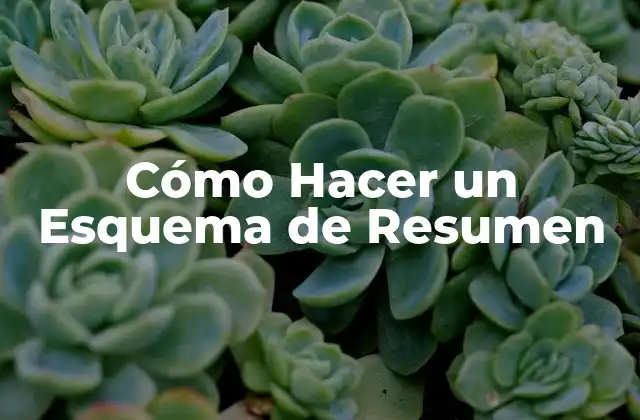 Cómo Hacer un Esquema de Resumen