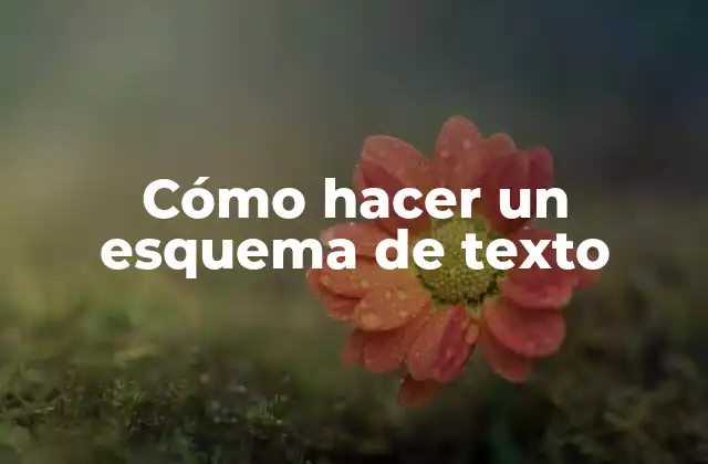Cómo Hacer un Esquema de Texto
