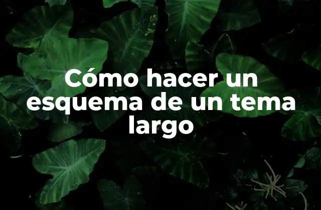 Cómo Hacer un Esquema de un Tema Largo