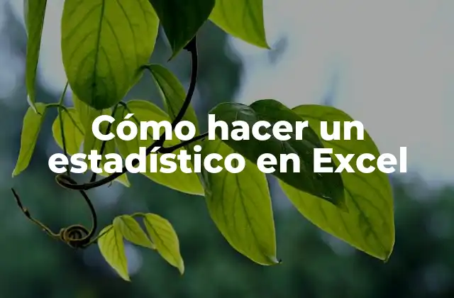 Cómo Hacer un Estadístico en Excel