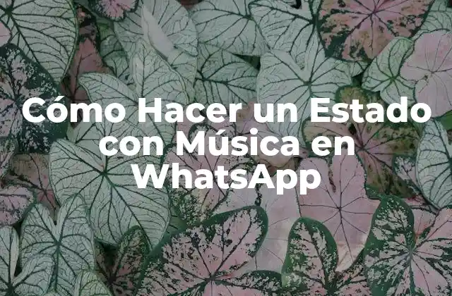 Cómo Hacer un Estado con Música en Whatsapp