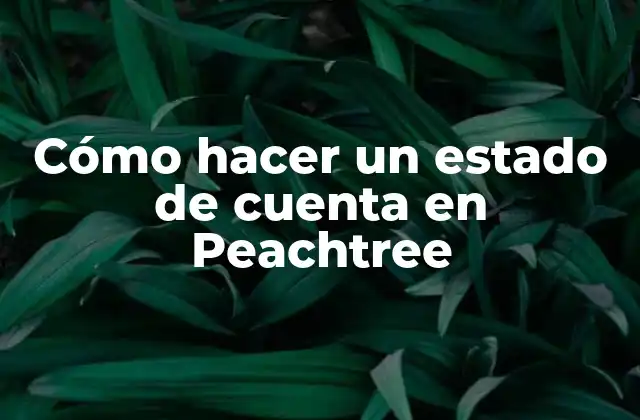 Cómo Hacer un Estado de Cuenta en Peachtree
