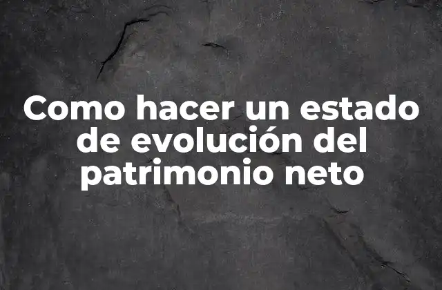 Como Hacer un Estado de Evolución Del Patrimonio Neto