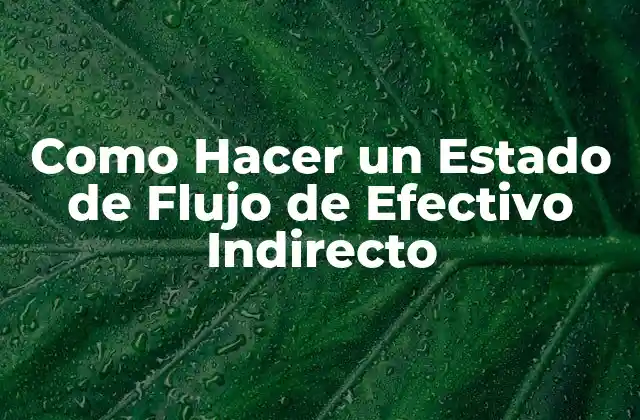 Como Hacer un Estado de Flujo de Efectivo Indirecto