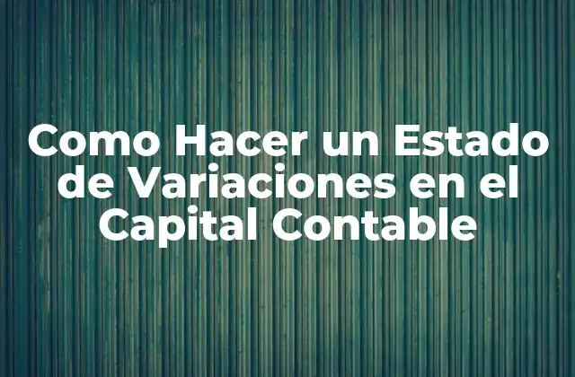 Como Hacer un Estado de Variaciones en el Capital Contable