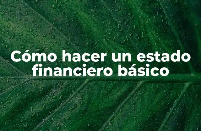 Cómo Hacer un Estado Financiero Básico
