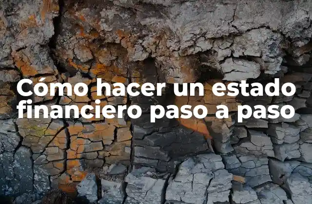 Cómo Hacer un Estado Financiero Paso a Paso