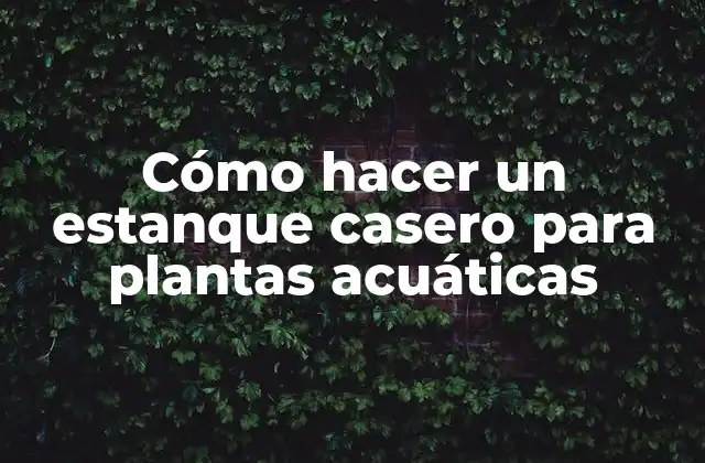 Cómo Hacer un Estanque Casero para Plantas Acuáticas