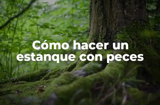 Cómo Hacer un Estanque con Peces