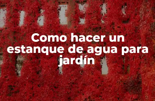 Como Hacer un Estanque de Agua para Jardín