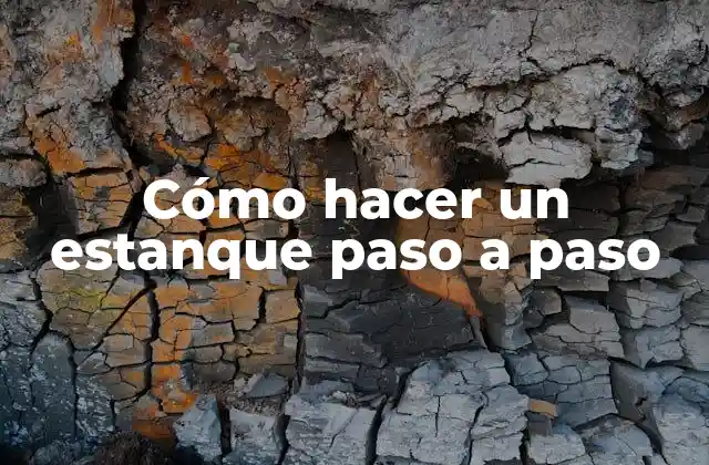 Cómo Hacer un Estanque Paso a Paso