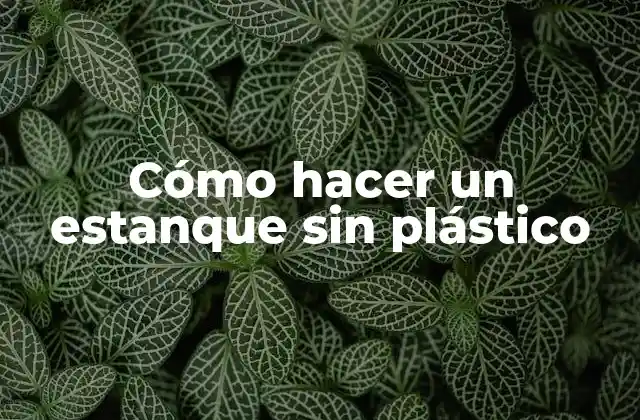 Cómo Hacer un Estanque sin Plástico