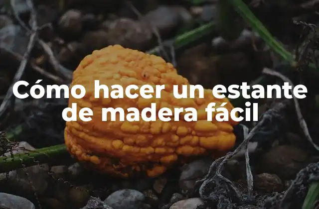 Cómo Hacer un Estante de Madera Fácil