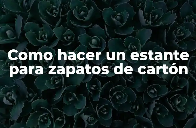 Como Hacer un Estante para Zapatos de Cartón