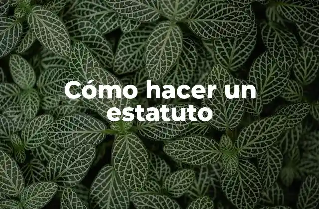 Cómo Hacer un Estatuto