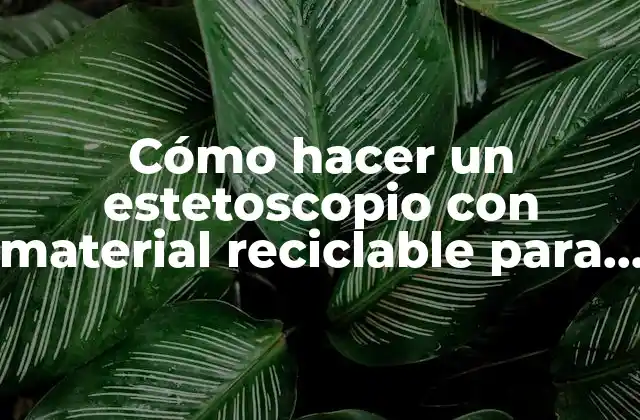 Cómo Hacer un Estetoscopio con Material Reciclable para Niños