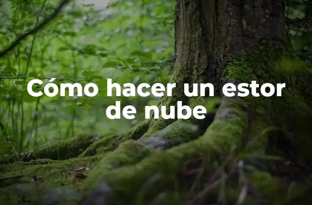 Cómo hacer un estor de nube