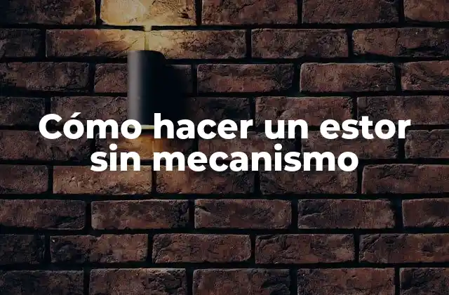Cómo Hacer un Estor sin Mecanismo