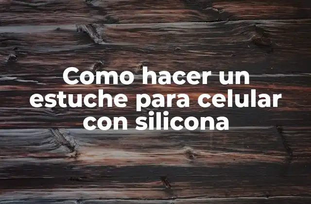 Como Hacer un Estuche para Celular con Silicona