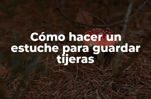 Cómo Hacer un Estuche para Guardar Tijeras