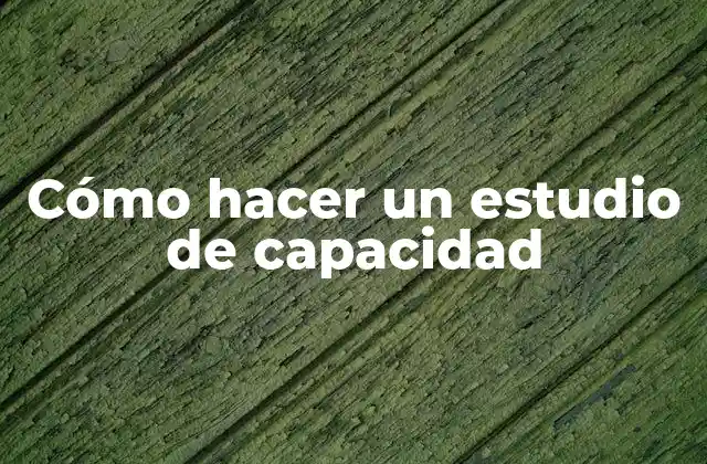 Cómo Hacer un Estudio de Capacidad