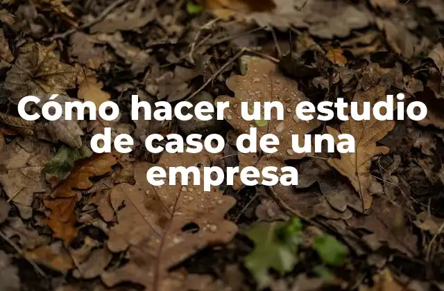 Cómo Hacer un Estudio de Caso de una Empresa