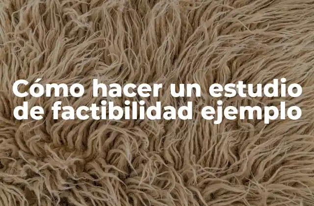 ¿Qué es un estudio de factibilidad?