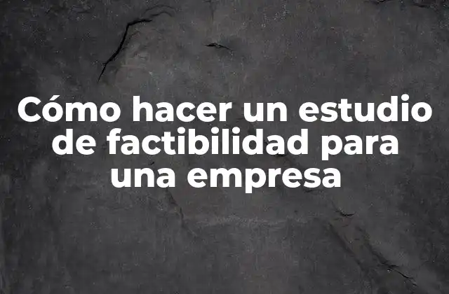 Cómo Hacer un Estudio de Factibilidad para una Empresa