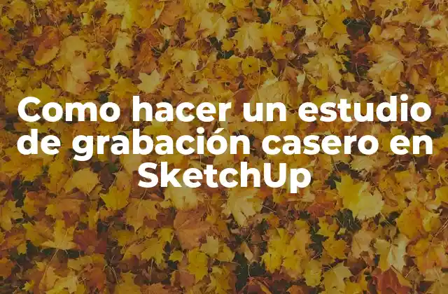 Como Hacer un Estudio de Grabación Casero en Sketchup