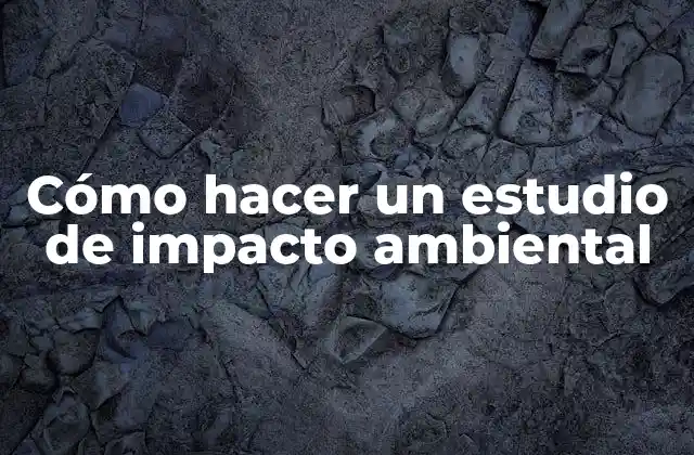 Cómo Hacer un Estudio de Impacto Ambiental