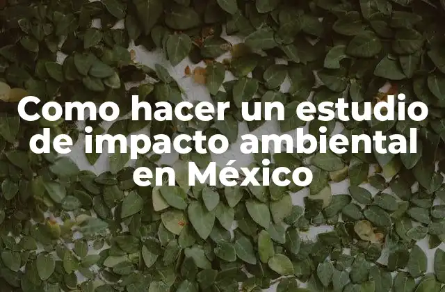 Como Hacer un Estudio de Impacto Ambiental en México