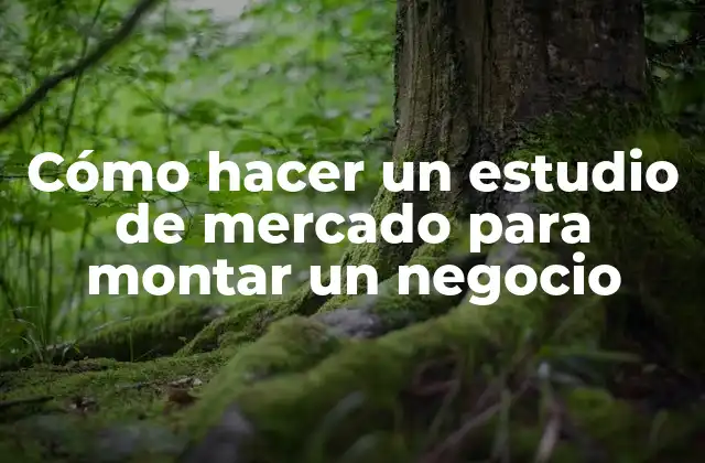 Cómo Hacer un Estudio de Mercado para Montar un Negocio