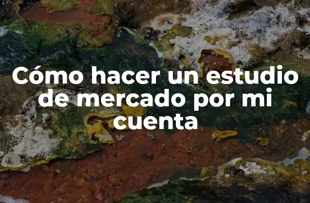 Cómo Hacer un Estudio de Mercado por Mi Cuenta