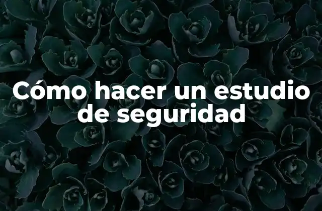 Cómo Hacer un Estudio de Seguridad