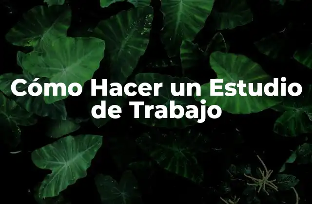 ¿Qué es un Estudio de Trabajo?