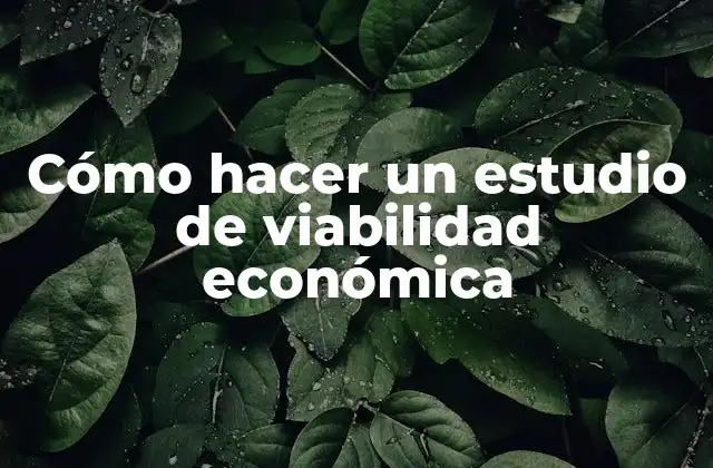 Cómo Hacer un Estudio de Viabilidad Económica