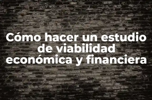 ¿Qué es un estudio de viabilidad económica y financiera?