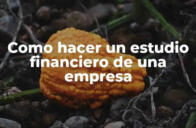 Como Hacer un Estudio Financiero de una Empresa