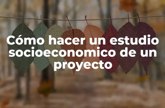 Cómo Hacer un Estudio Socioeconomico de un Proyecto