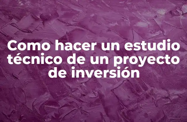 Como Hacer un Estudio Técnico de un Proyecto de Inversión
