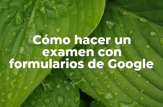 Cómo Hacer un Examen con Formularios de Google
