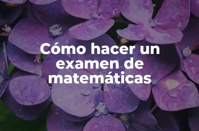 Cómo Hacer un Examen de Matemáticas